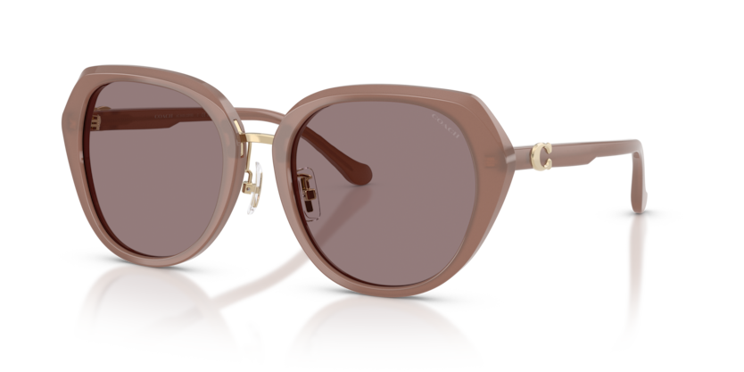Coach HC8436 Cby93 Sunglasses
