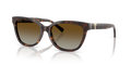 Tiffany TF4237B  Sunglasses