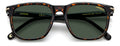Carrera 300/s Sunglasses