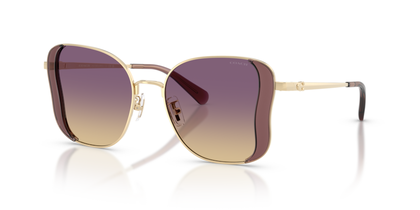 Coach HC7188 Cdp51 Sunglasses