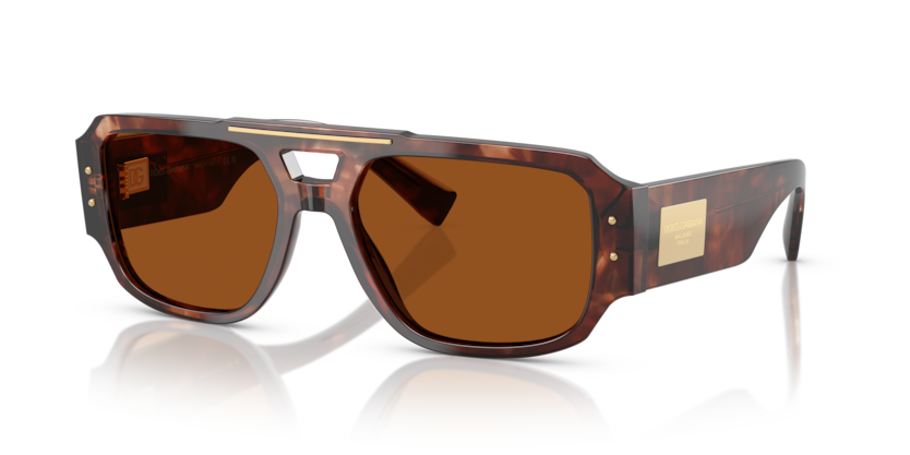 Dolce & Gabbana DG4482  Sunglasses