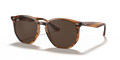 Ray-Ban RB4306  Sunglasses