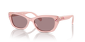 Swarovski SK6019  Sunglasses