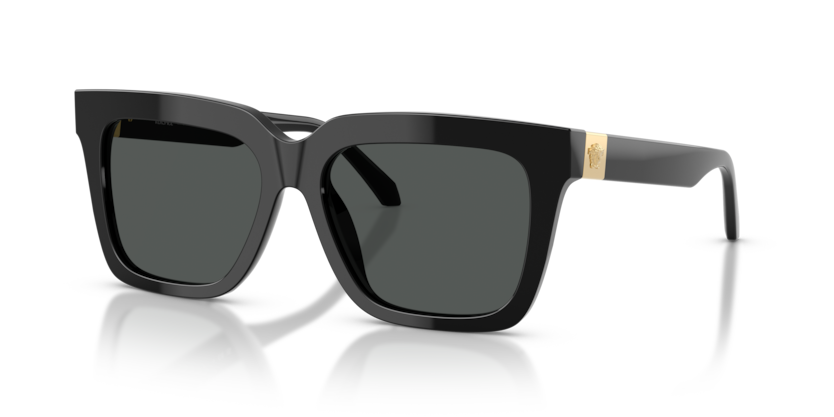 Versace VE4498  Sunglasses