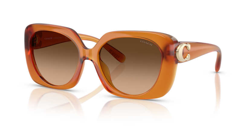 Coach HC8422U Cad33 Sunglasses