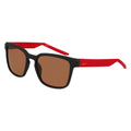 Nike NIKE LIVEFREE ICONIC EV24012 Sunglasses