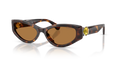 Swarovski SK6045U  Sunglasses