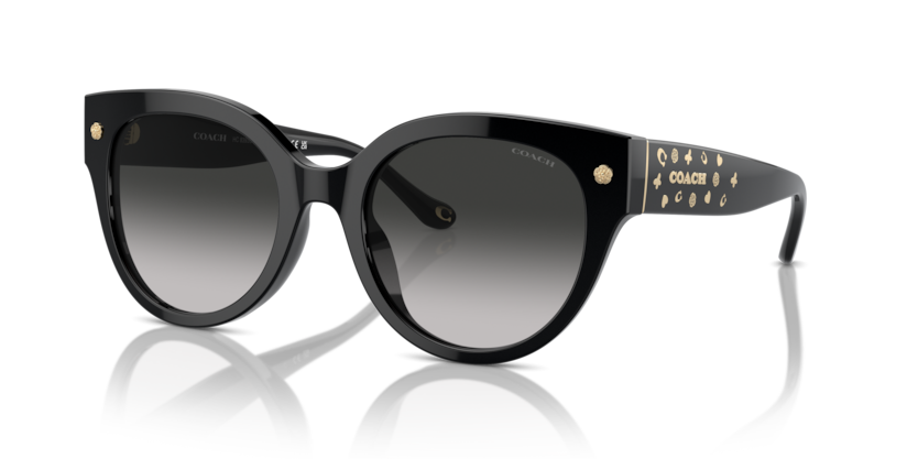Coach HC8393U Cr612 Sunglasses