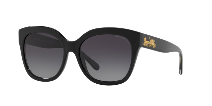 Coach HC8264 L1083 Sunglasses