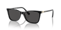Swarovski SK6004  Sunglasses