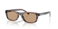 Diesel DL2018U  Sunglasses