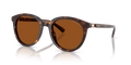 Michael Kors MK2227 Big Bend Sunglasses