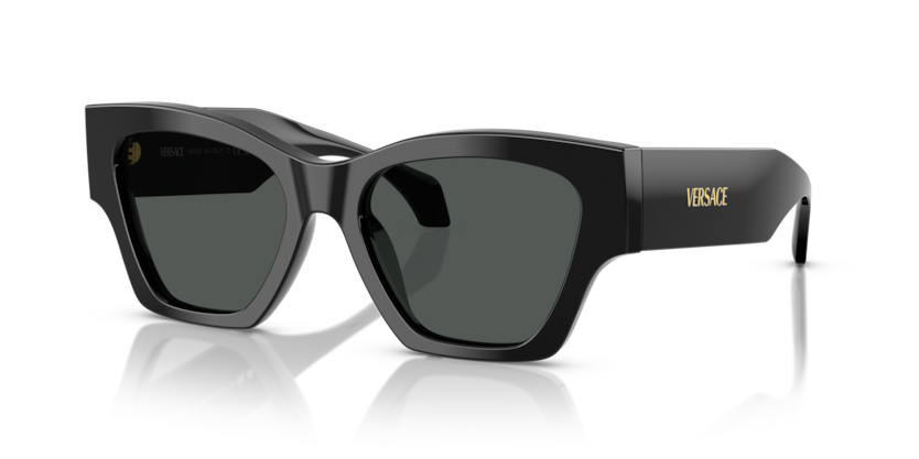 Versace VE4492U  Sunglasses