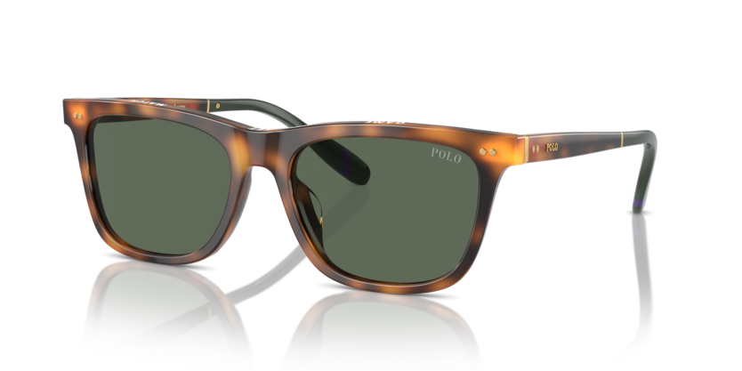 Polo PH4205U  Sunglasses