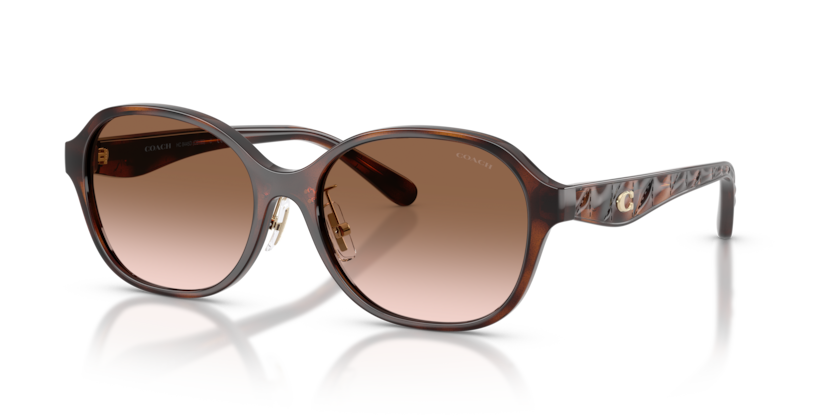 Coach HC8445D Cby85 Sunglasses