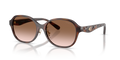 Coach HC8445D Cby85 Sunglasses