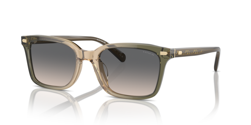 Coach HC8398U Cr630 Sunglasses