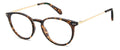 Polaroid PLD D617 Eyeglasses