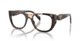Dolce & Gabbana DG4480  Sunglasses