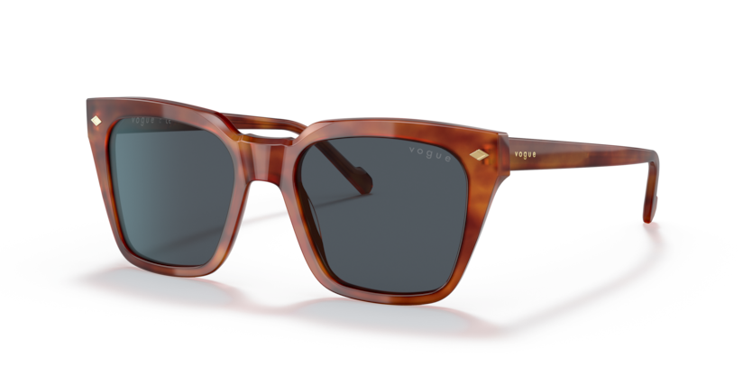 Vogue VO5380S  Sunglasses