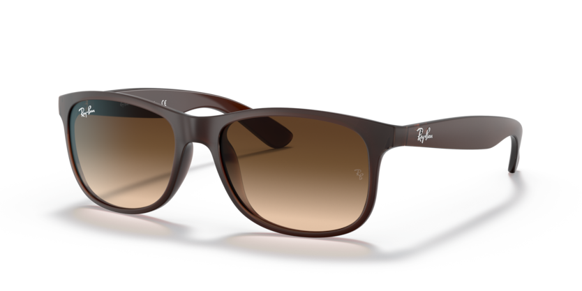 Ray-Ban RB4202 Andy Sunglasses