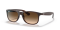 Ray-Ban RB4202 Andy Sunglasses