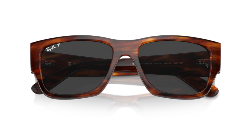 Ray-Ban RB0947S Carlos Sunglasses