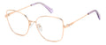 Polaroid PLD D521/G Eyeglasses