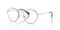 Polo PH1241  Eyeglasses