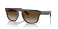 Ray-Ban RB4407  Sunglasses