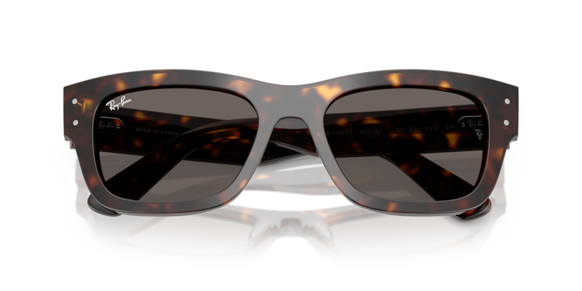 Ray-Ban RB7683S Joseph Sunglasses