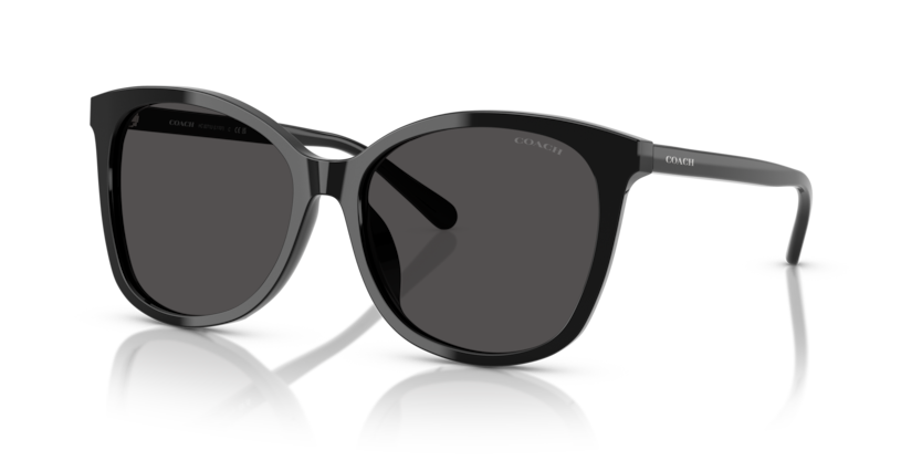 Coach HC8271U L1101 Sunglasses