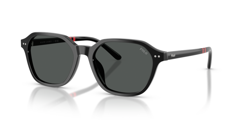 Polo PH4234U  Sunglasses