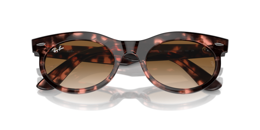 Ray-Ban RB2242 Wayfarer Oval Sunglasses