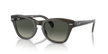 Ray-Ban RB0707S  Sunglasses