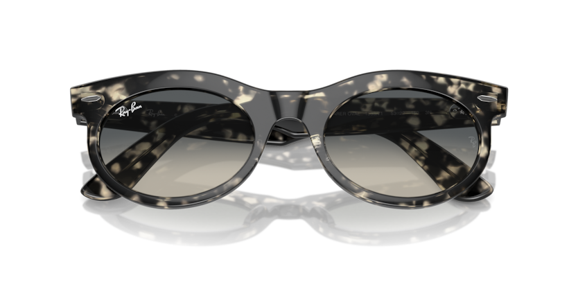Ray-Ban RB2242 Wayfarer Oval Sunglasses