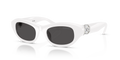 Swarovski SK6036U  Sunglasses