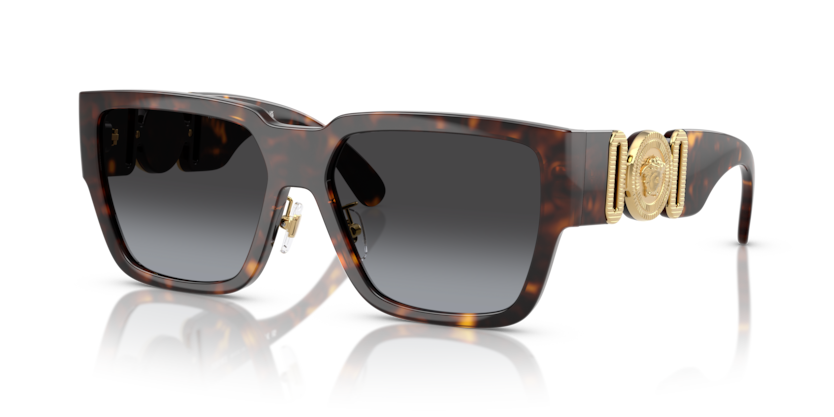 Versace VE4483D  Sunglasses