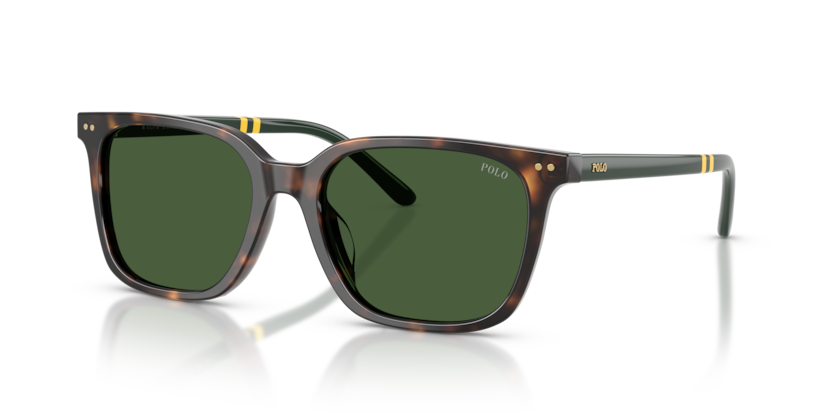 Polo PH4235U  Sunglasses