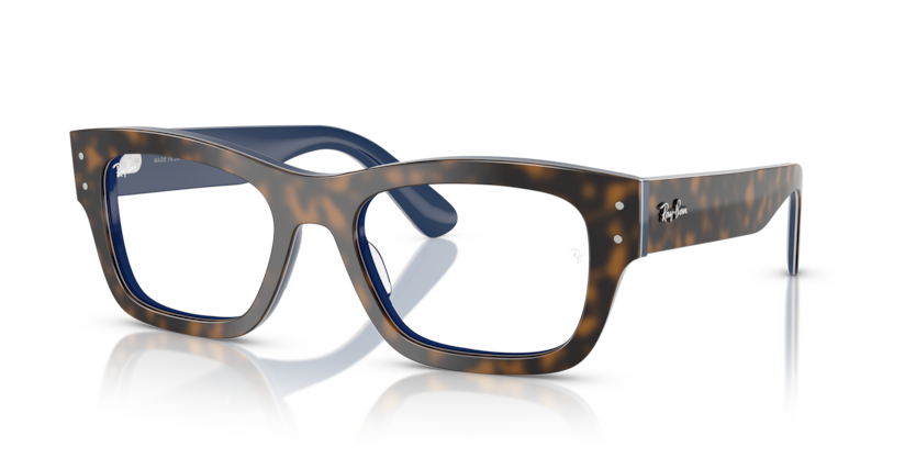 Ray-Ban Vista RX7683V Joseph Eyeglasses