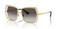 Dolce & Gabbana DG2306  Sunglasses