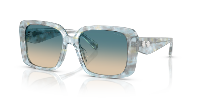 Coach HC8424F Cad55 Sunglasses