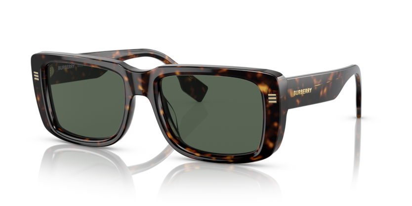 Burberry BE4376U Jarvis Sunglasses