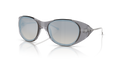 Diesel DL3003  Sunglasses
