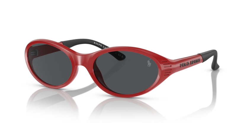 Polo PH4197U  Sunglasses