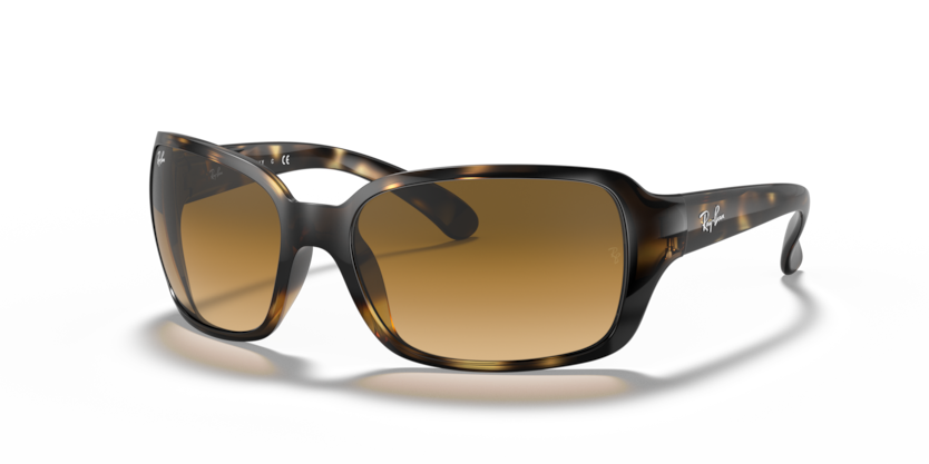 Ray-Ban RB4068 Rb4068 Sunglasses