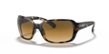 Ray-Ban RB4068 Rb4068 Sunglasses