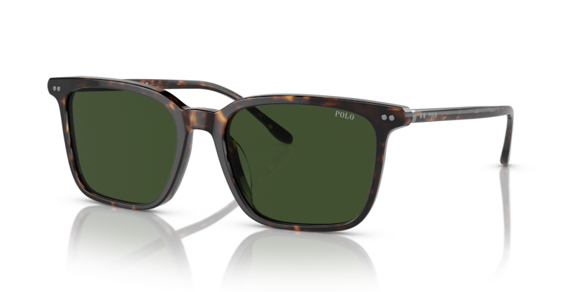 Polo PH4194U  Sunglasses
