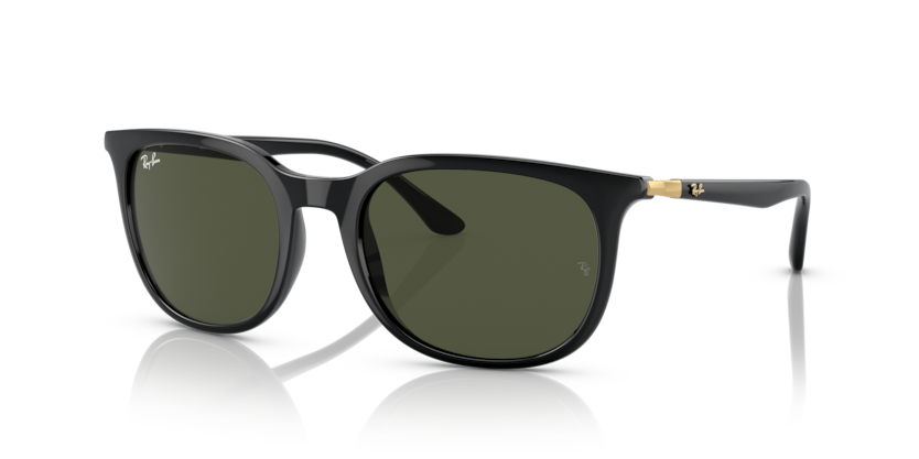 Ray-Ban RB4385  Sunglasses