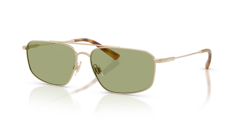 Polo PH3164  Sunglasses
